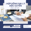 Mẫu Hợp đồng đại lý độc quyền