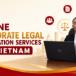 Legal Consultation Services