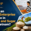 FDI enterprise