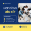 Hợp đồng liên kết