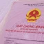mất sổ đỏ